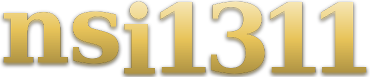 nsi1311 logo